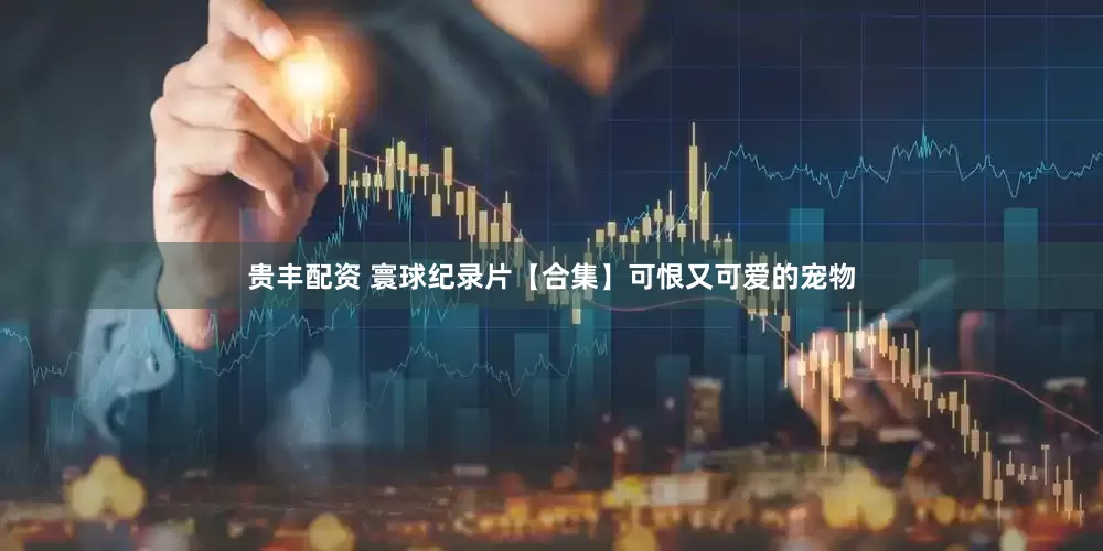 贵丰配资 寰球纪录片【合集】可恨又可爱的宠物