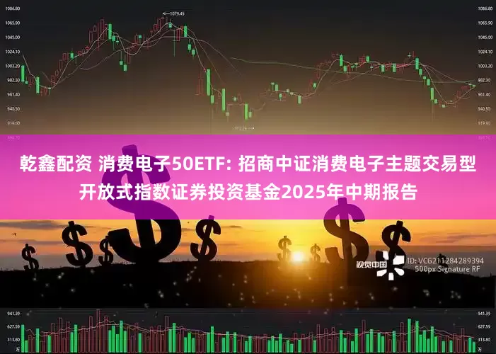 乾鑫配资 消费电子50ETF: 招商中证消费电子主题交易型开放式指数证券投资基金2025年中期报告